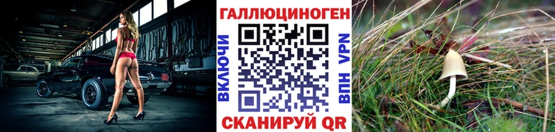 где купить наркоту Инза Галлюциногенные грибы мицелий